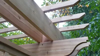 Guilford / Baltimore City Pergola Photo