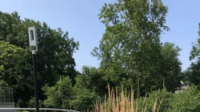 Pikesville Accessible Landscaping II Photo