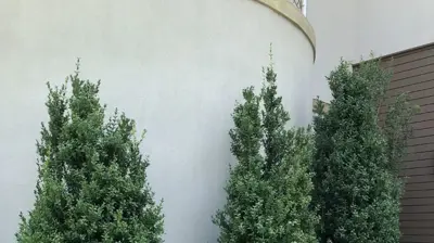 Pikesville Accessible Landscaping III Photo