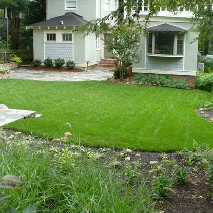 Family Friendly Backyard