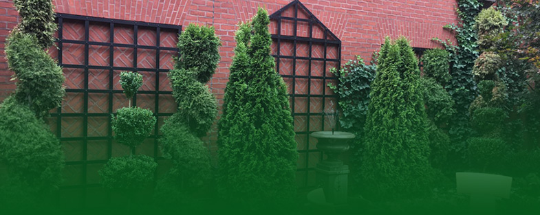 Commercial Services